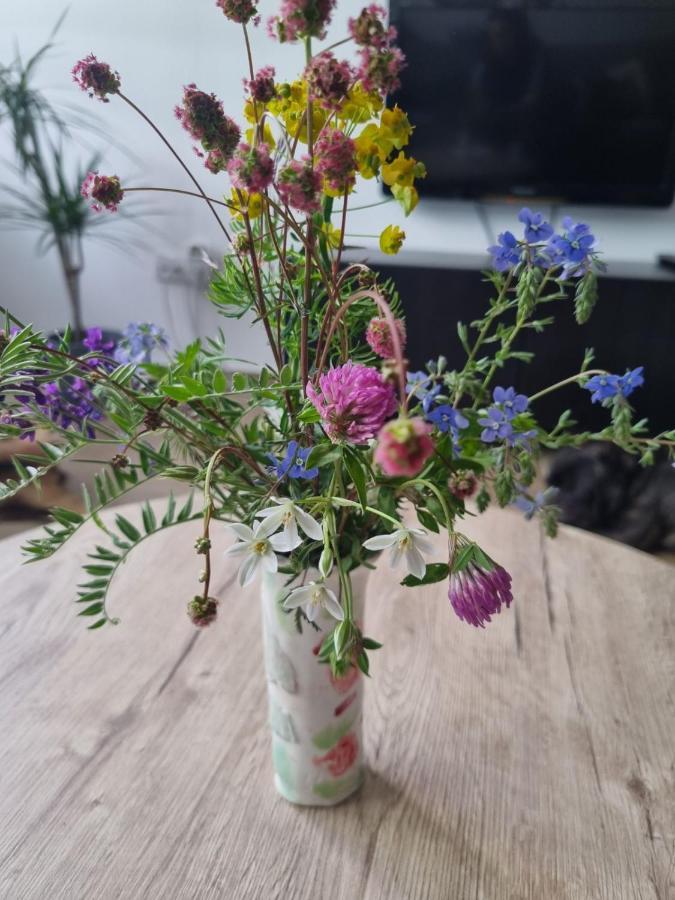 Apartman Nana Divčibare Kültér fotó